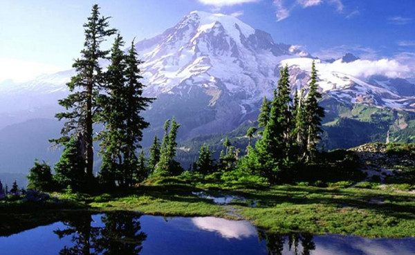 Marvels of Himachal - Amritsar, Dalhousie & Dharamshala / Ex-HYD