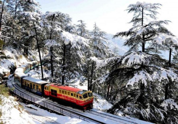 Short Escapes in Shimla / Ex-Chandigarh
