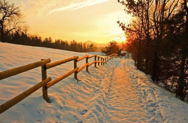 Shimla Manali Dharamshala / Ex-HYD