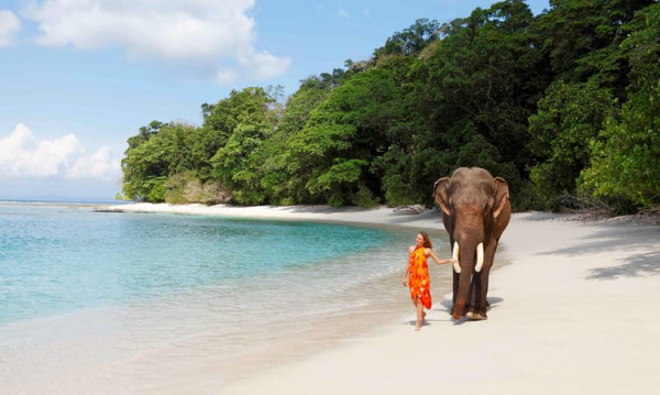 Mystic Andaman Retreat