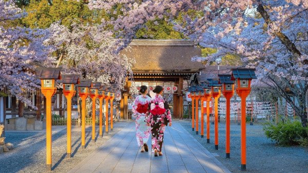 🍁 Celebrate Japan's Rich Heritage and Scenic Beauty 🌸