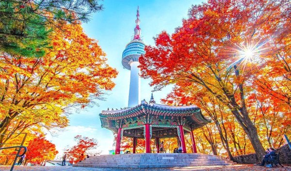 South Korea Special - Seoul & Busan 05N