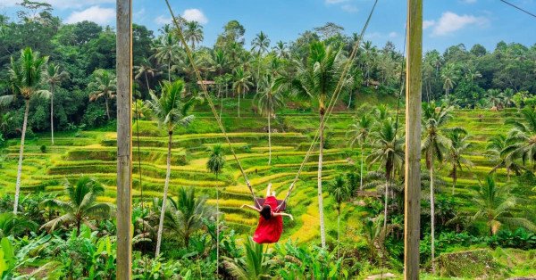 Must visit Bali (06N)
