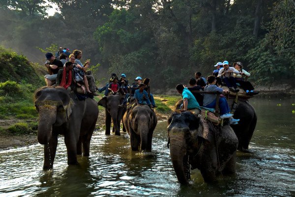 🦏🐘 Chitwan Calling – Into the Wild Nepal 🌿🚙