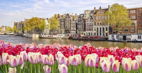 06 Days 🎡🏙️ London to Amsterdam 🚲🌷