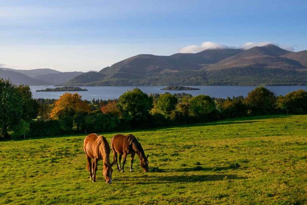 11 Days - Guided Tour of UK 👑🏰 & Ireland ⛰️🌫️