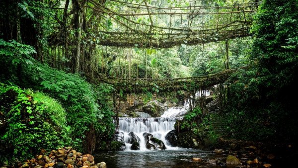 🚶‍♂️Best of Meghalaya| FREE DBLDecker Bridge Trek