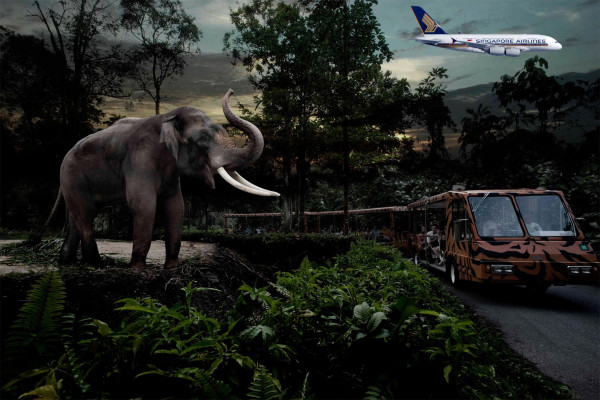 Perfect Singapore with Flights